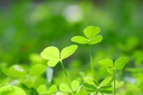 f:id:healing_yui:20210118081635j:image f:id:healing_yui:20210118081635j:image