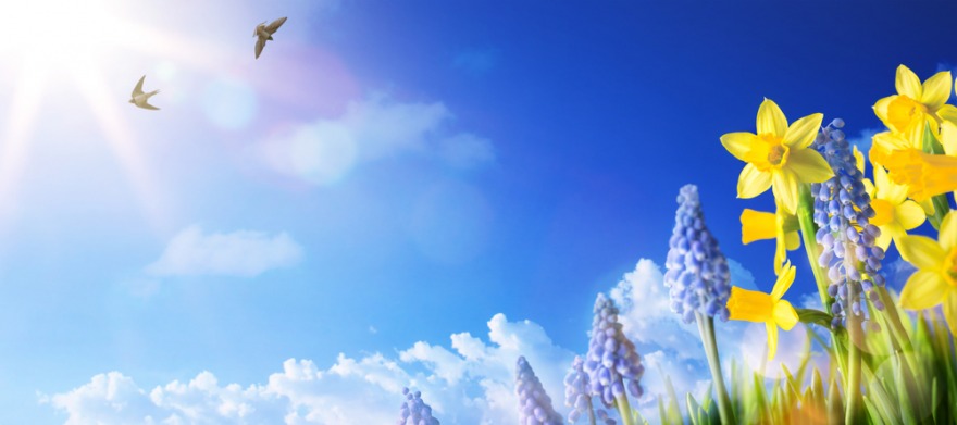 f:id:healing_yui:20210326153644j:plain