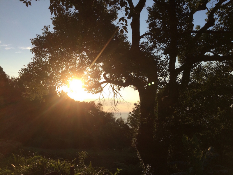 f:id:healingdrum:20161007065100j:image