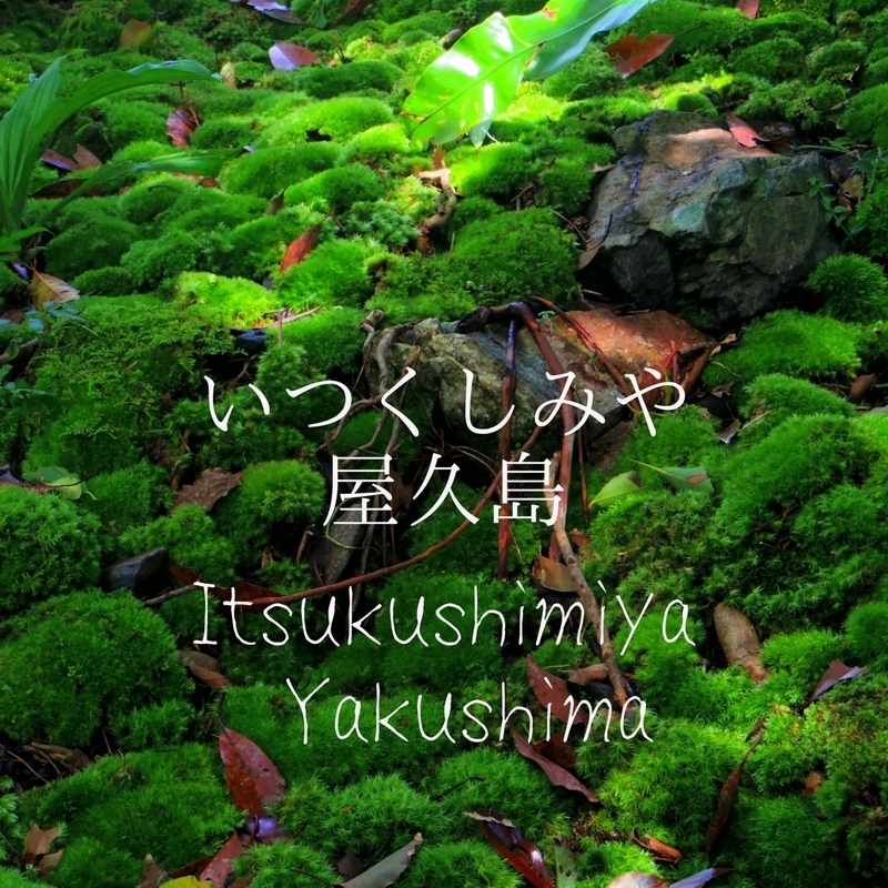 20190719171629