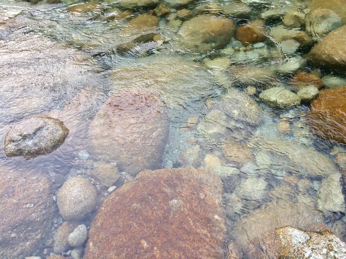 f:id:healingdrum:20190727182403j:plain