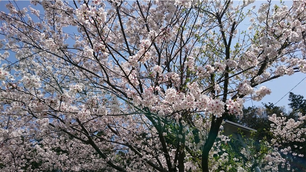 f:id:healingplaces423:20210401133505j:image f:id:healingplaces423:20210401133505j:image