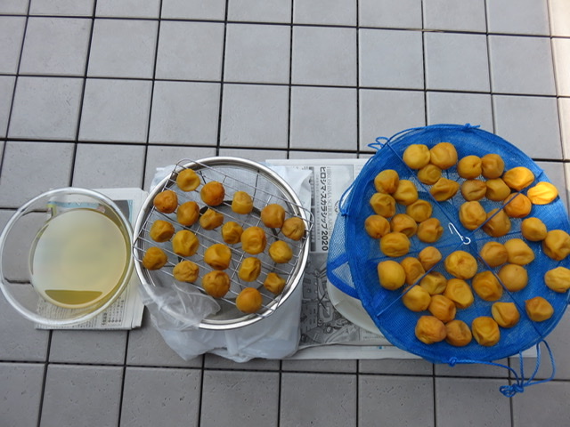 f:id:healsion:20200806195217j:plain