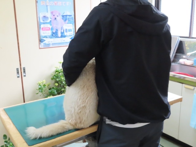 f:id:healsion:20220312225816j:plain