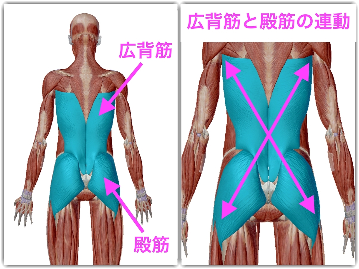 いつストレッチするか