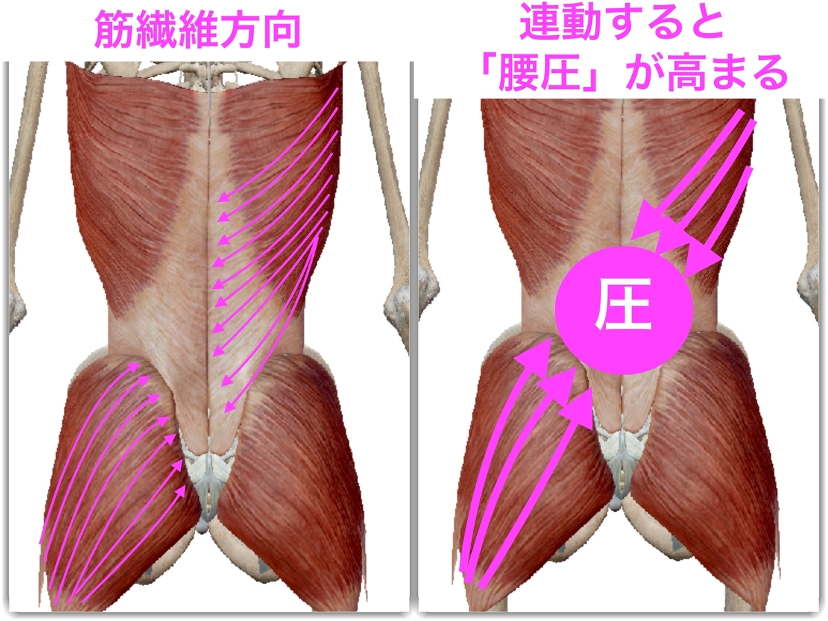 f:id:health--life:20190417163311j:plain