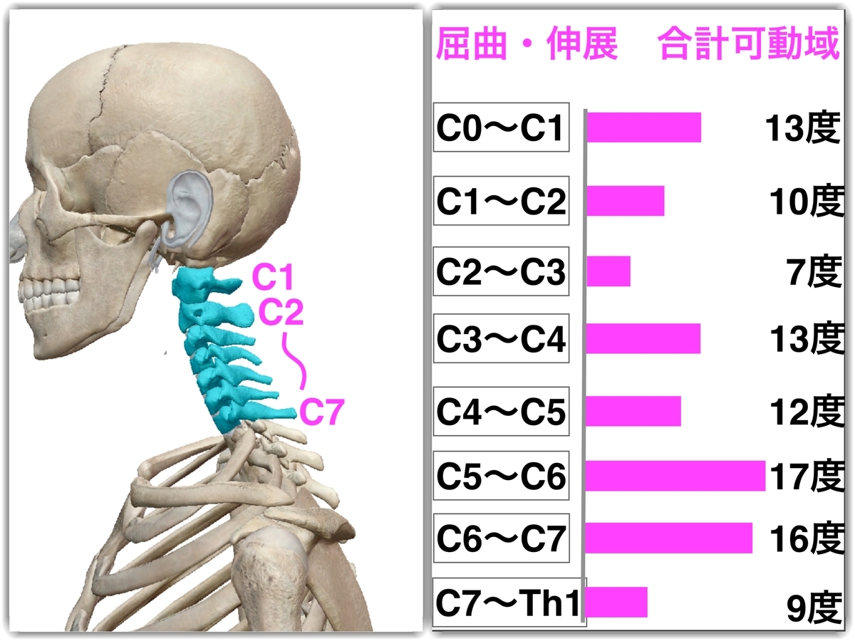 f:id:health--life:20190421132722j:plain