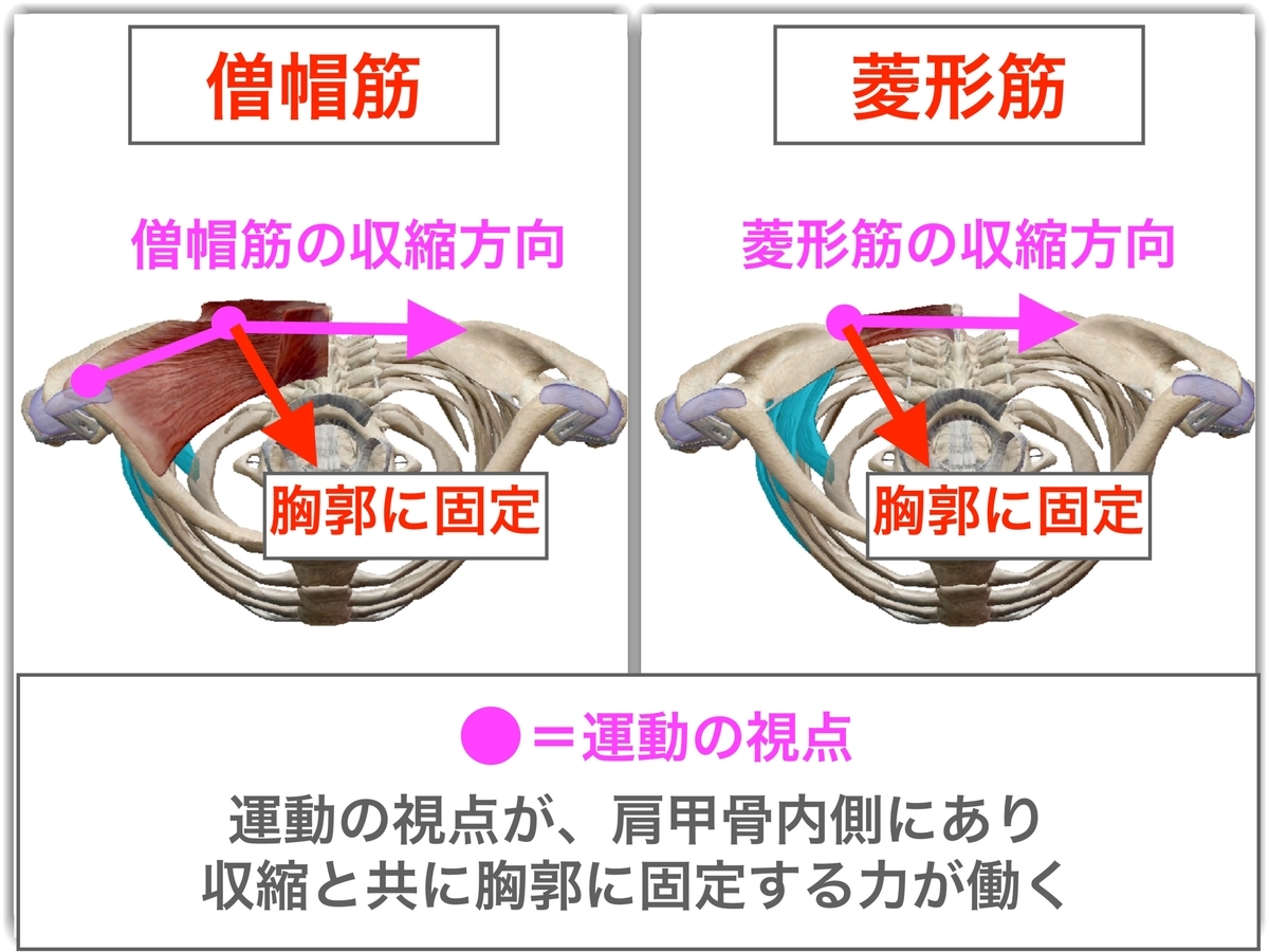 f:id:health--life:20190429135501j:plain f:id:health--life:20190429135501j:plain