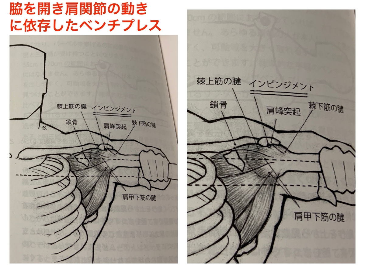 f:id:health--life:20190611142219j:plain