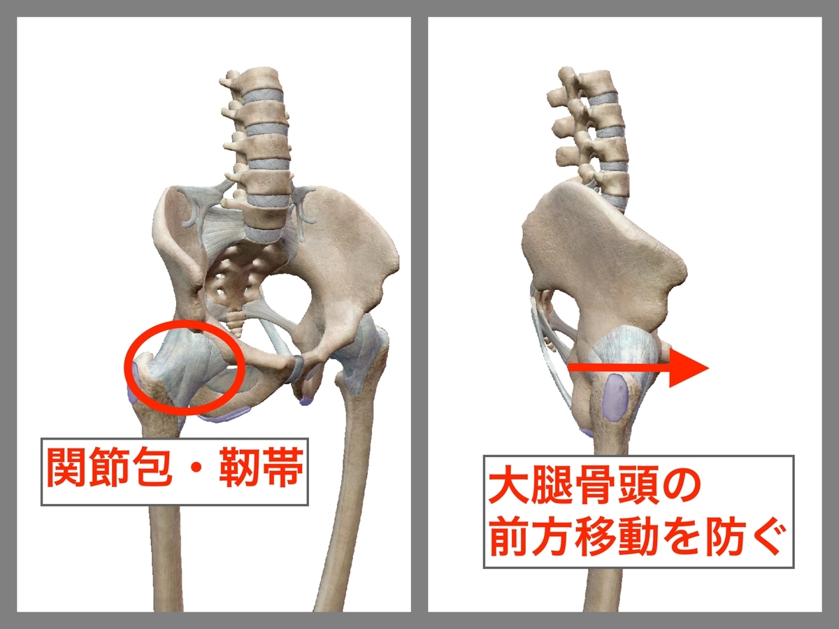 腸腰筋の間違ったストレッチ は股関節の詰まり 痛みの原因に トレーニング強化書 腸腰筋の間違ったストレッチ は股関節の詰まり 痛みの原因に トレーニング強化書