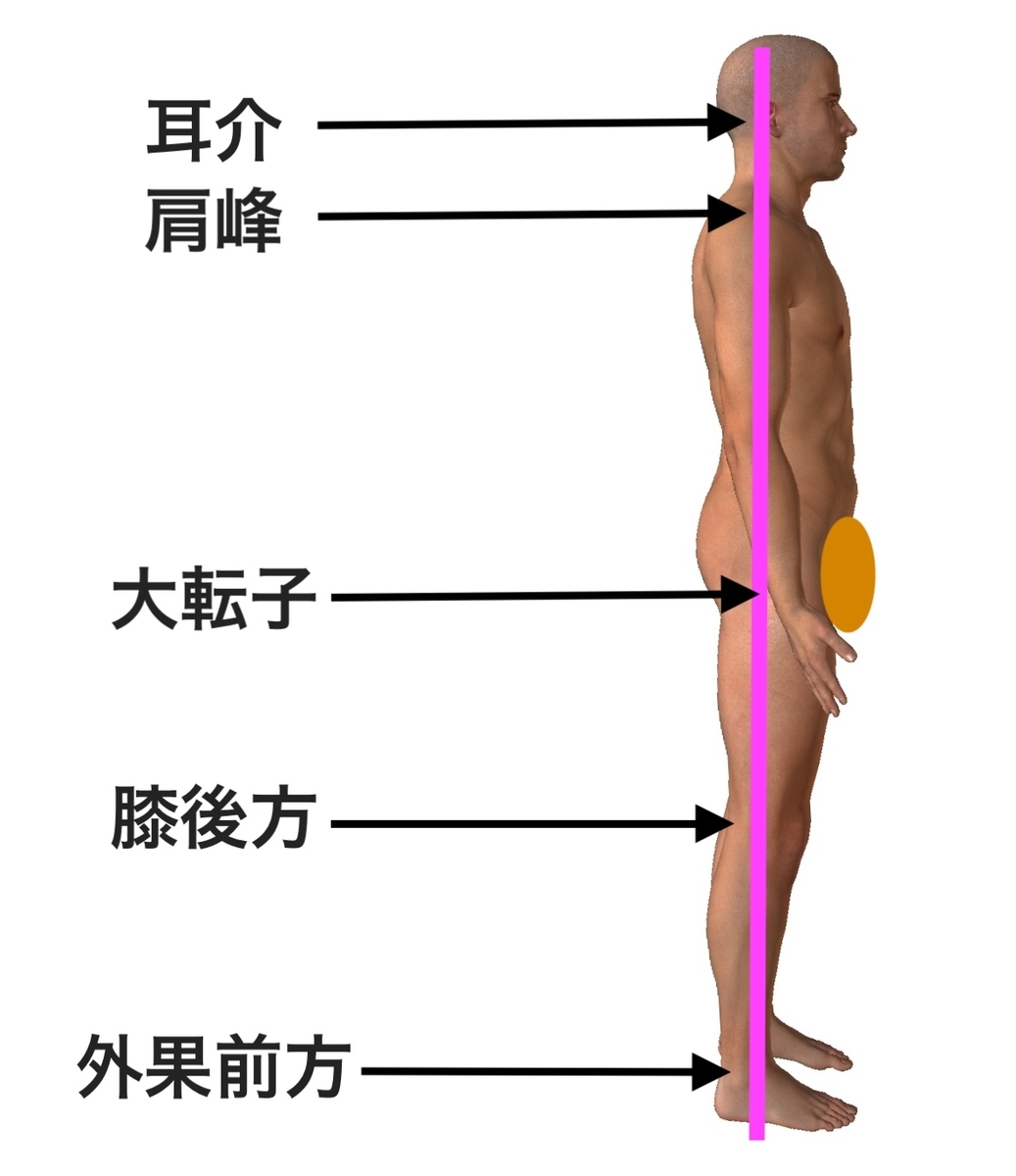 f:id:health--life:20190630142103j:plain f:id:health--life:20190630142103j:plain