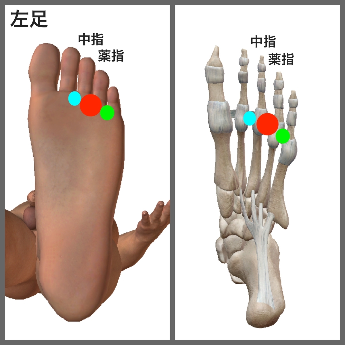 f:id:health--life:20191202201210j:plain f:id:health--life:20191202201210j:plain