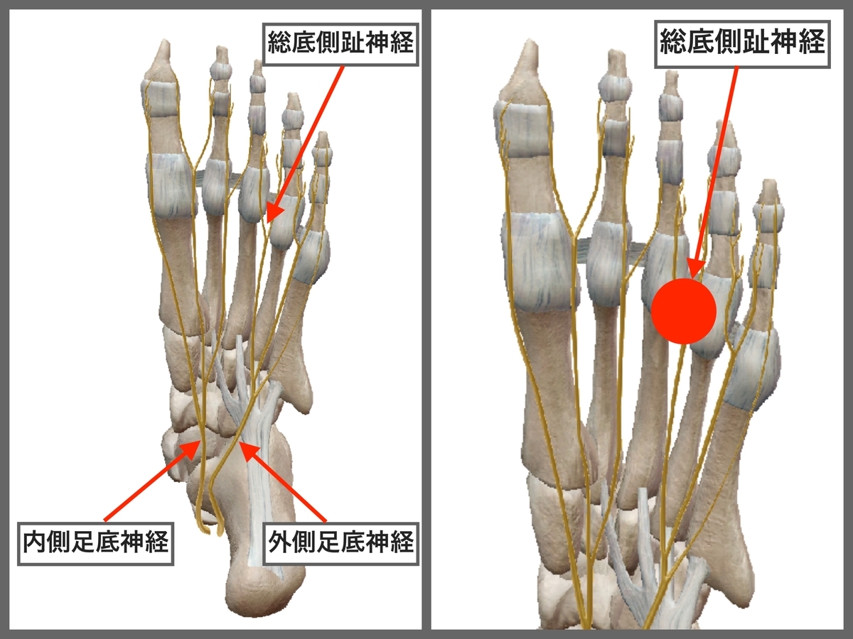 f:id:health--life:20191202204540j:plain f:id:health--life:20191202204540j:plain