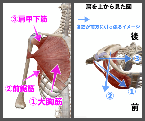 f:id:health--life:20210116194000p:plain