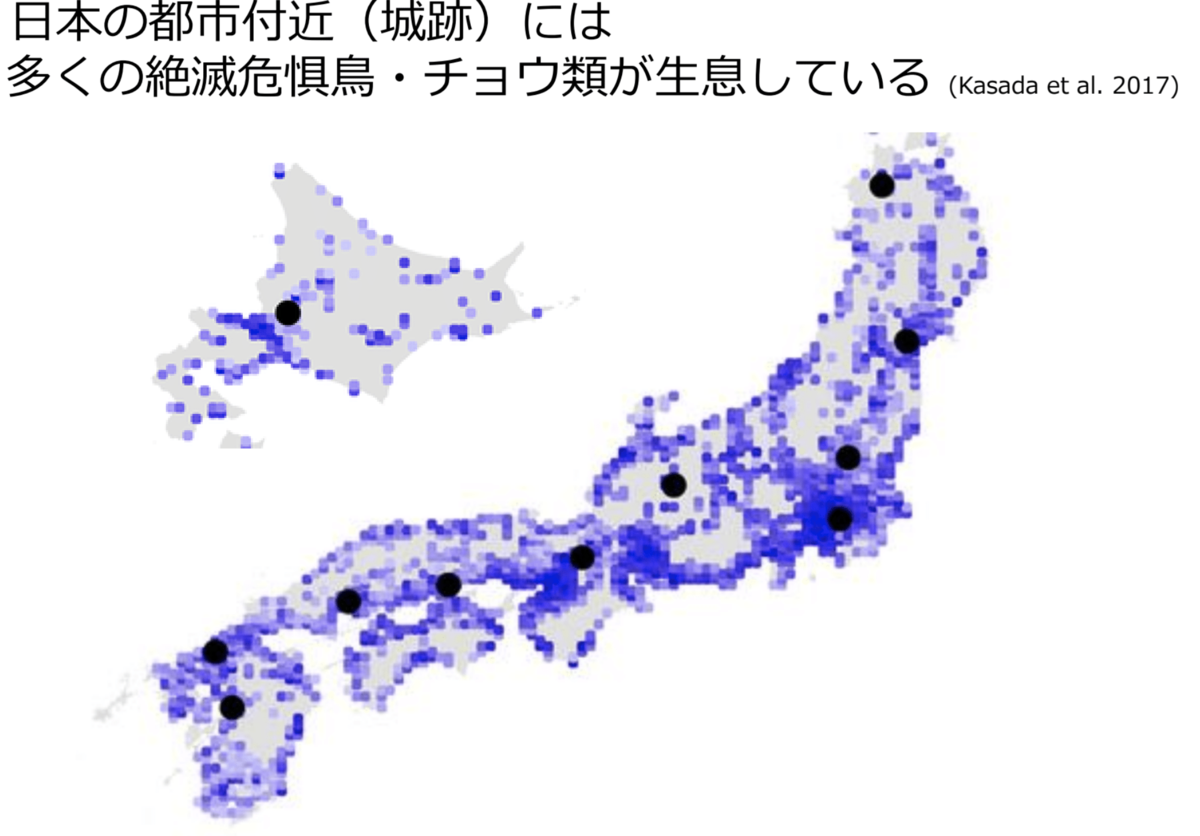 f:id:healtper:20191106214149p:plain f:id:healtper:20191106214149p:plain