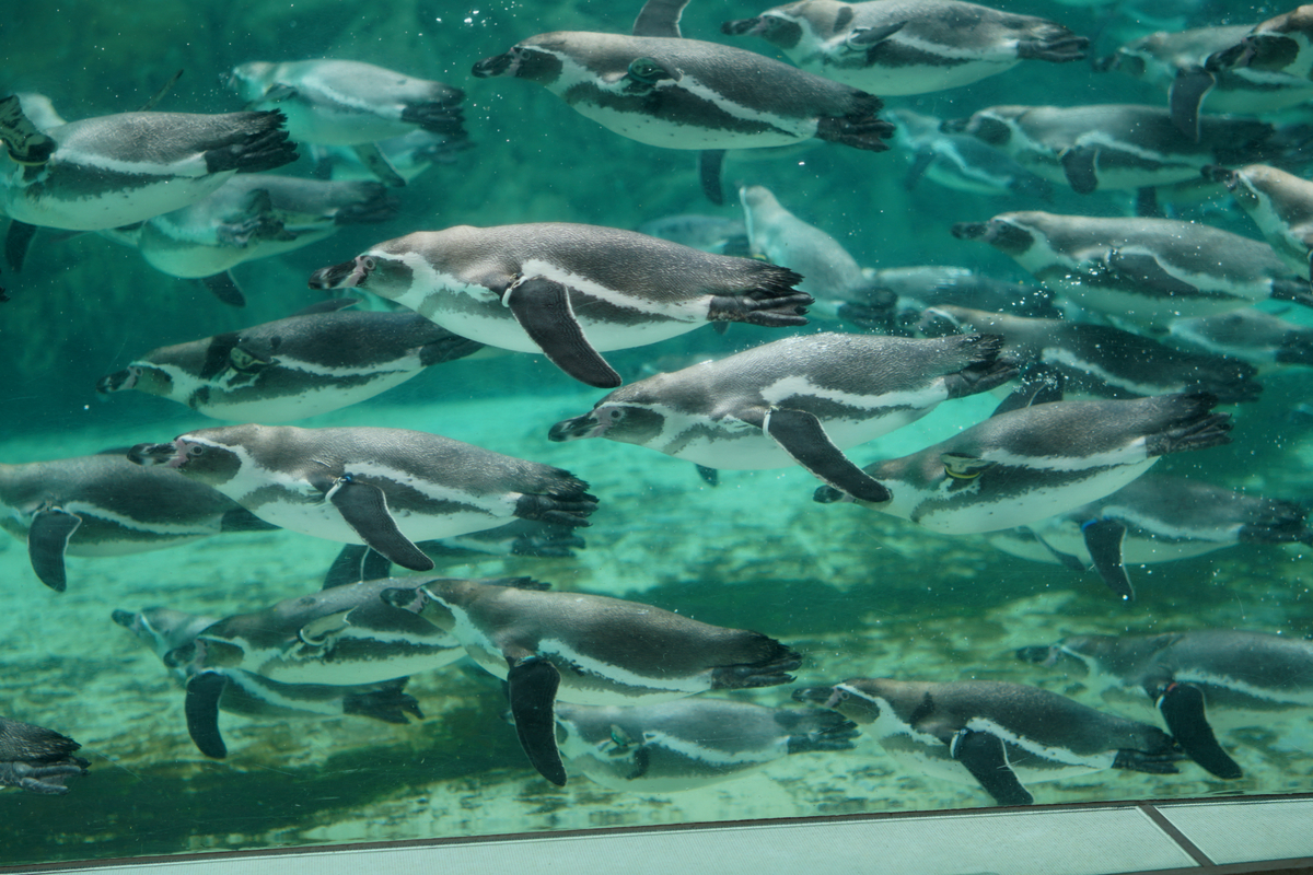 f:id:healxheel:20191022151548j:plain