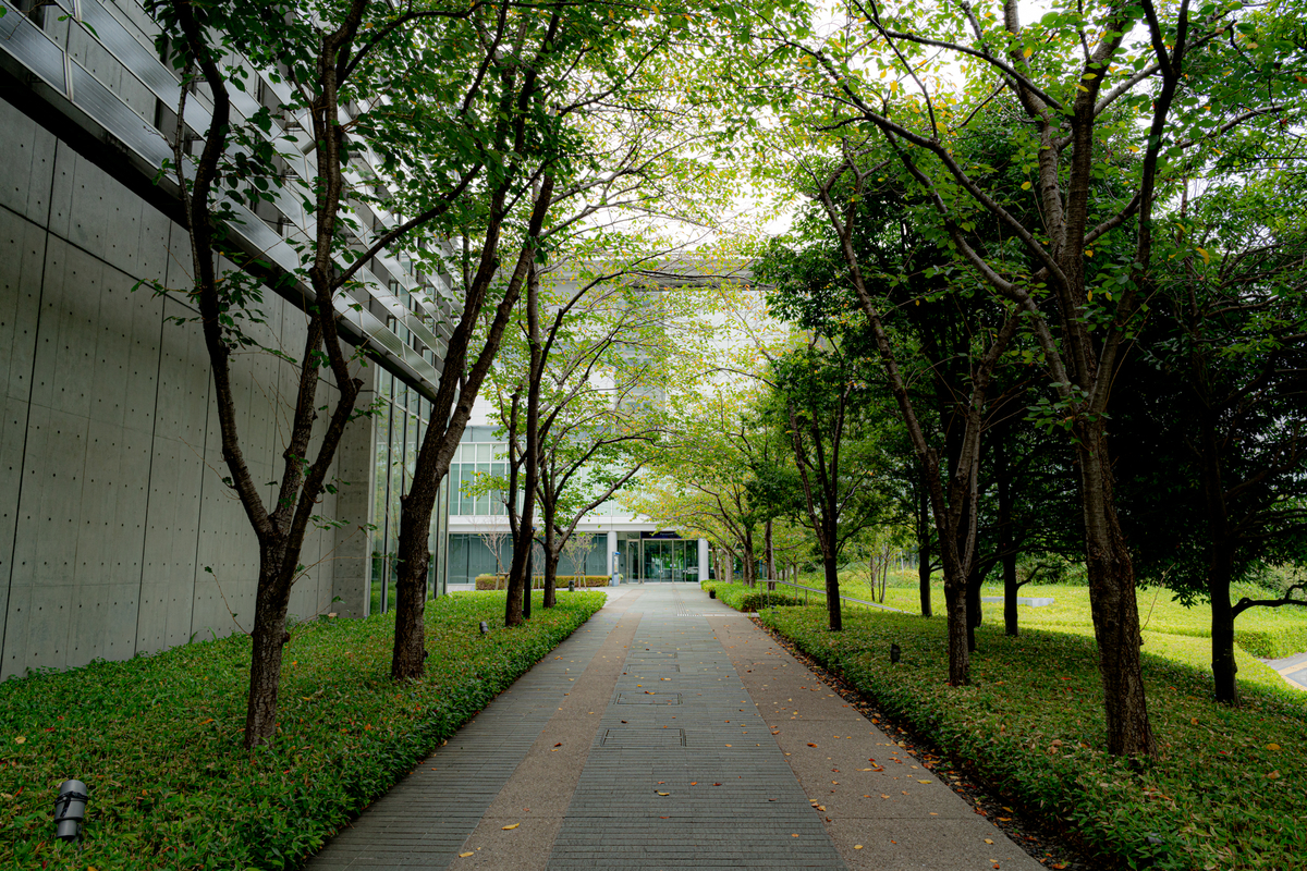 f:id:healxheel:20211011224011j:plain