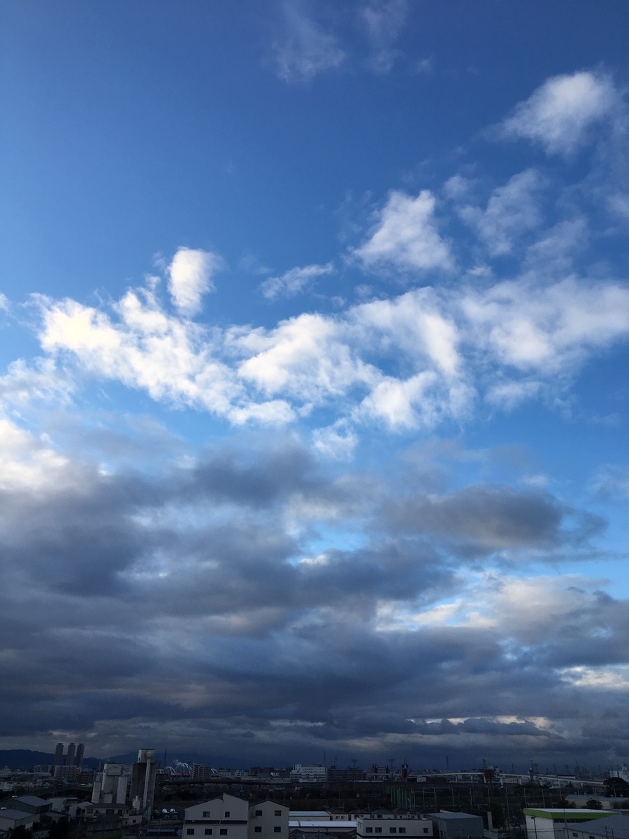 f:id:heart-health:20200219205535j:plain f:id:heart-health:20200219205535j:plain