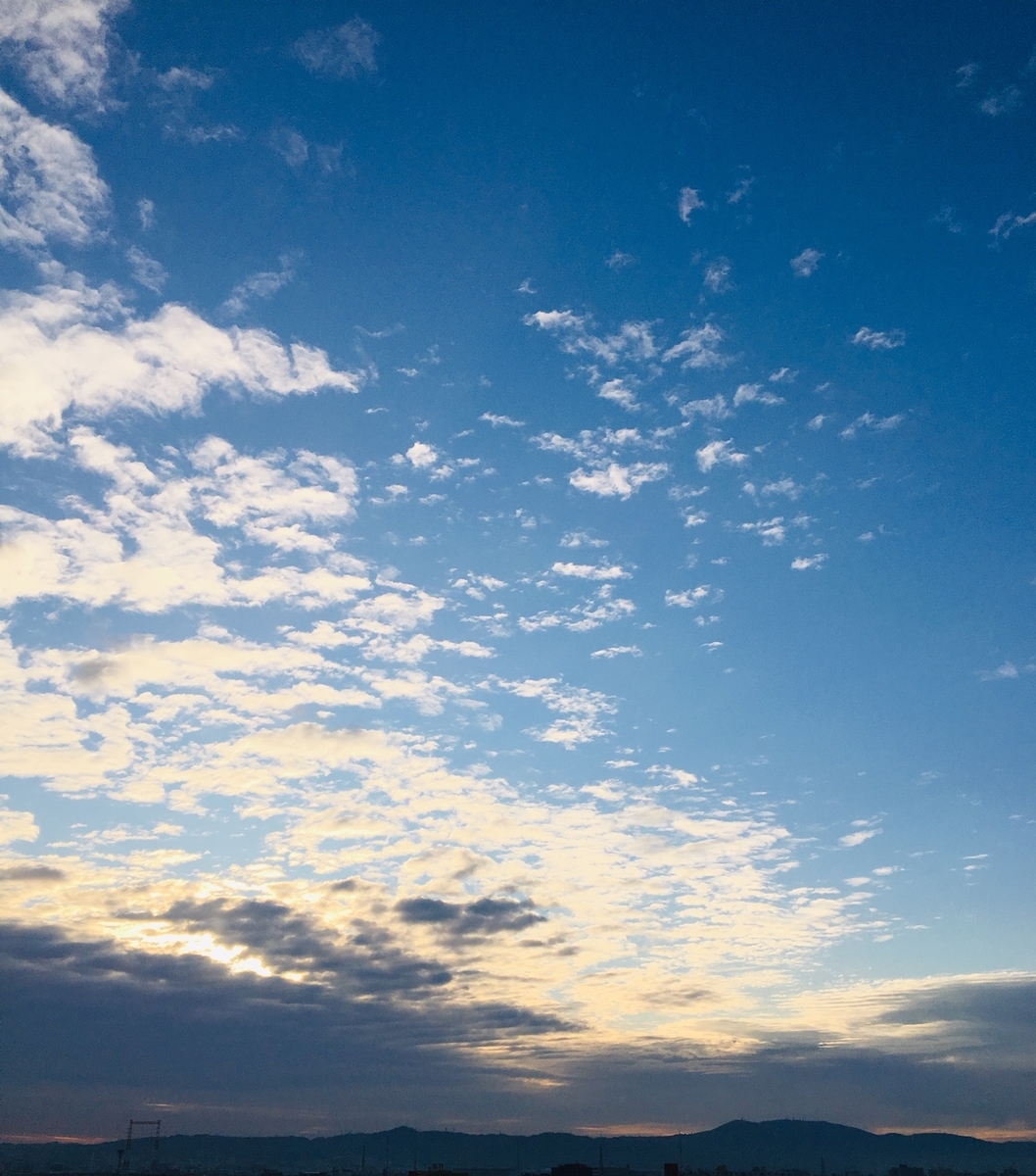 f:id:heart-health:20200220200424j:plain f:id:heart-health:20200220200424j:plain