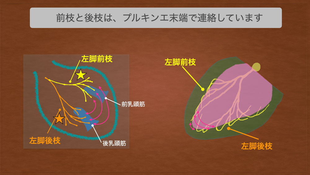 f:id:heart2019:20200506120736j:plain