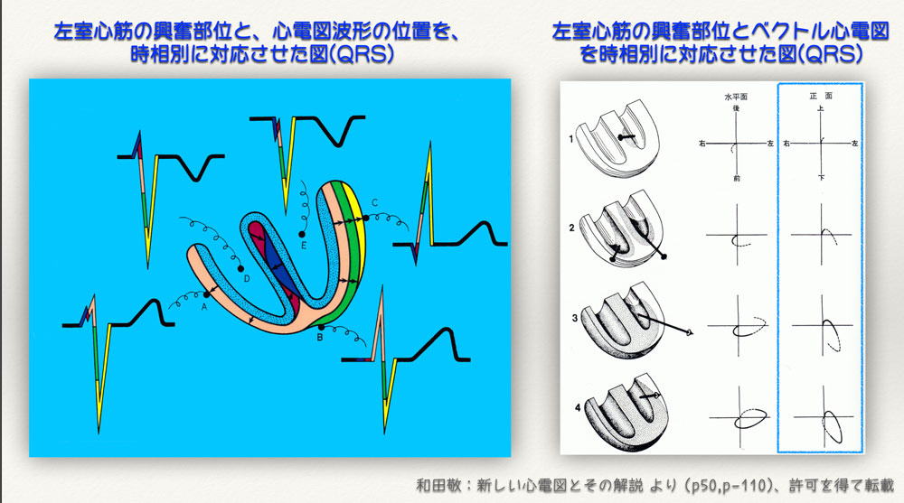 f:id:heart2019:20200506121142j:plain