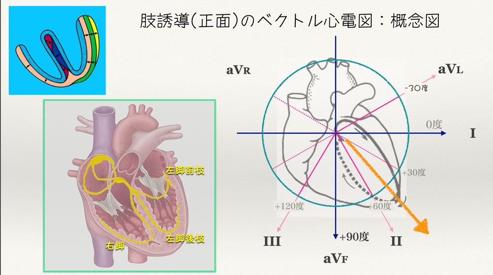 f:id:heart2019:20200506123123j:plain