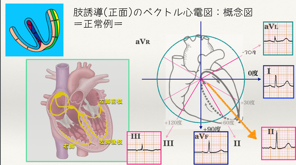f:id:heart2019:20200506123403j:plain
