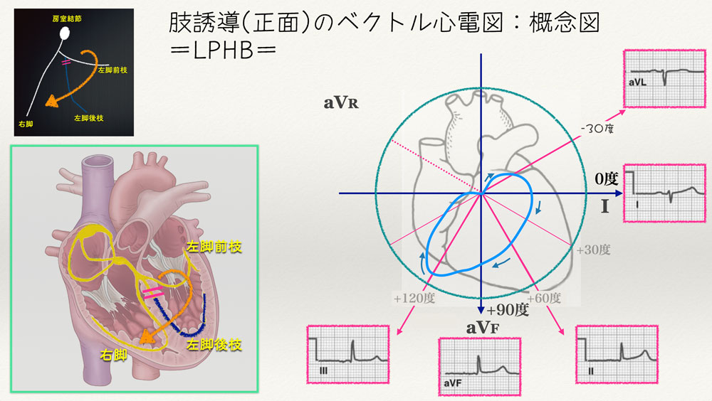f:id:heart2019:20200506123658j:plain