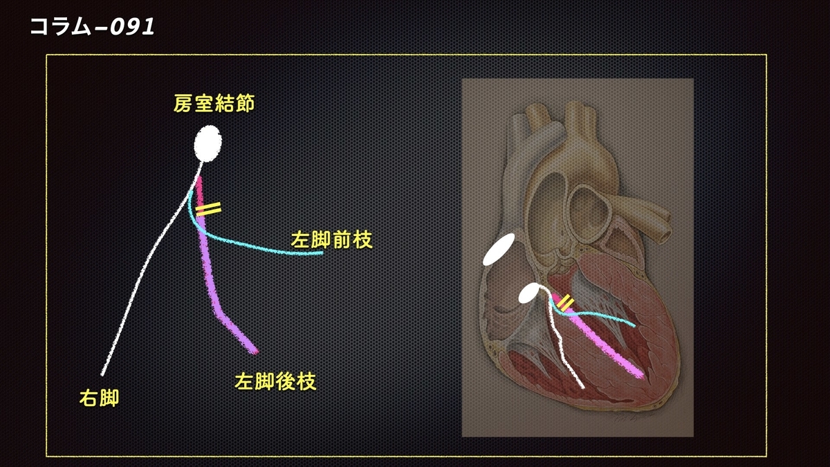 医者は何をしてくれるのでしょうか？