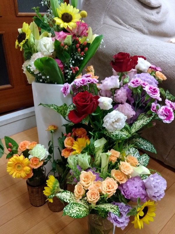 f:id:heartcafe55:20170718135721j:plain f:id:heartcafe55:20170718135721j:plain