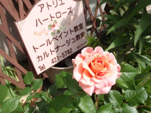 f:id:heartrose:20120523201719j:image