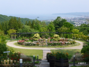 f:id:heartrose:20130605212907j:image
