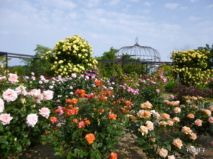 f:id:heartrose:20130605212908j:image