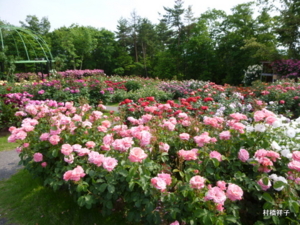 f:id:heartrose:20130605212909j:image