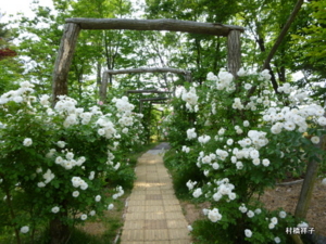 f:id:heartrose:20130605212910j:image