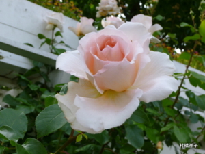 f:id:heartrose:20130605212912j:image