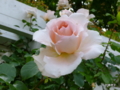 20130605212912