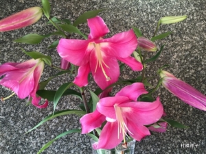 f:id:heartrose:20160702184736j:image