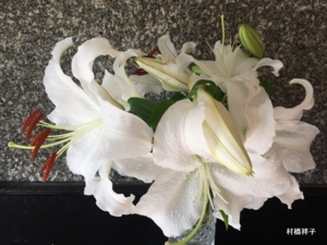 f:id:heartrose:20160717010438j:image