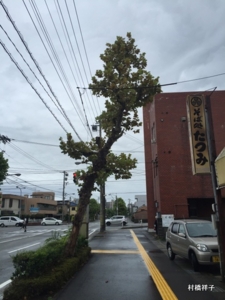 f:id:heartrose:20160728231049j:image f:id:heartrose:20160728231049j:image