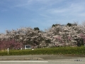 20170411011257