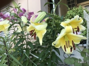 f:id:heartrose:20180703204003j:image f:id:heartrose:20180703204003j:image