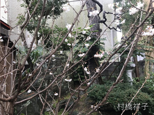 f:id:heartrose:20200311105528j:plain