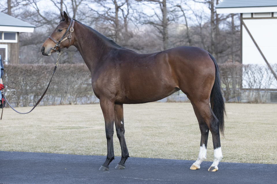 f:id:hearts-cry2:20210205002141j:plain
