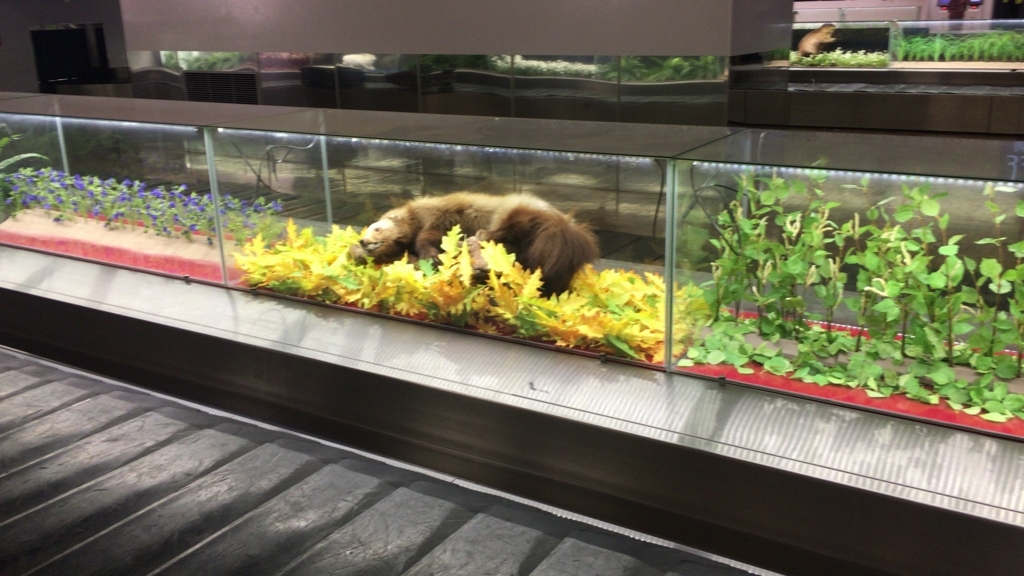 baggage carousel