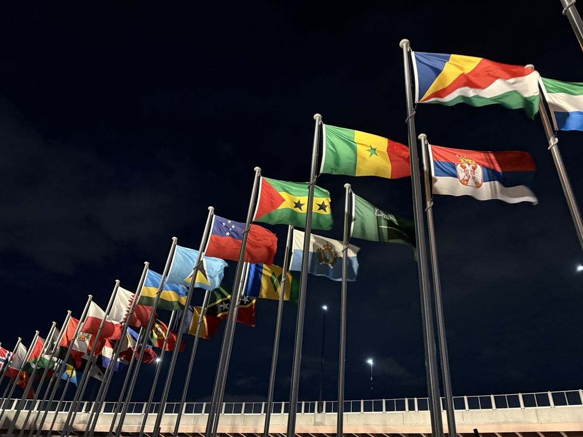 Flags of countries at East Gate.
