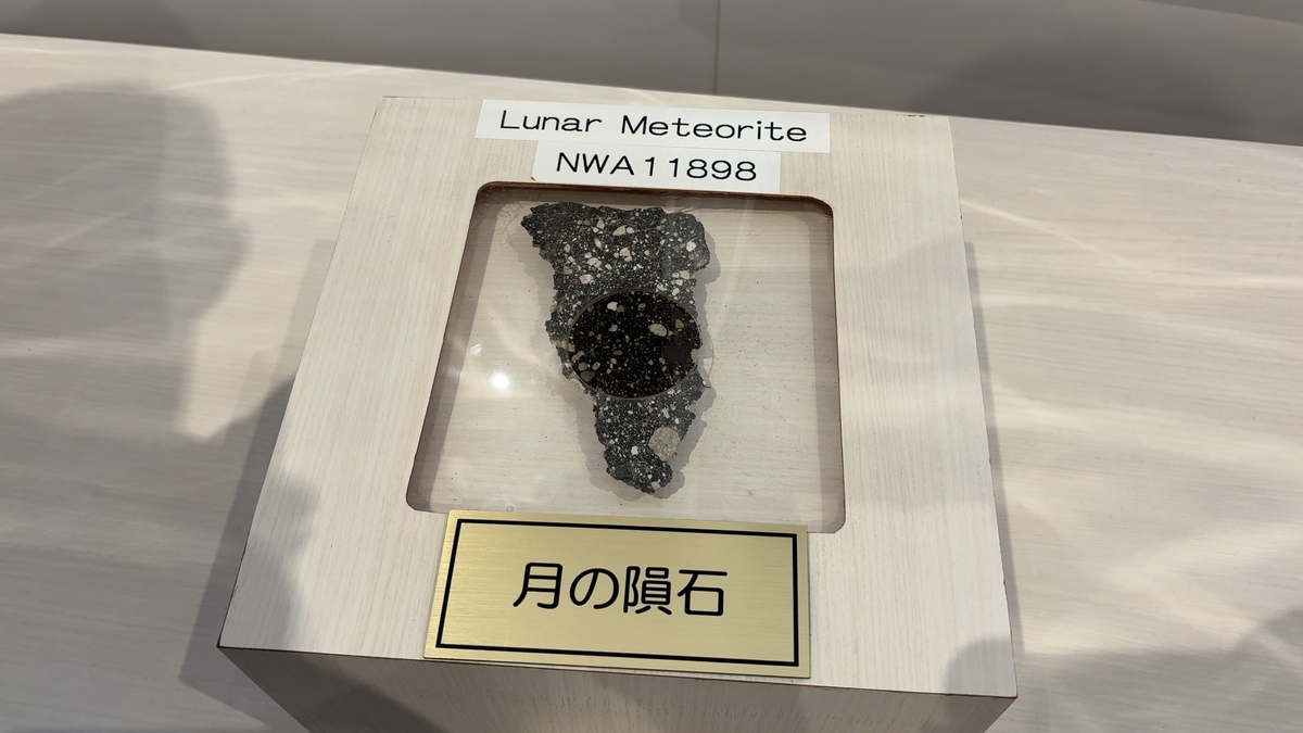 Lunar meteorite
