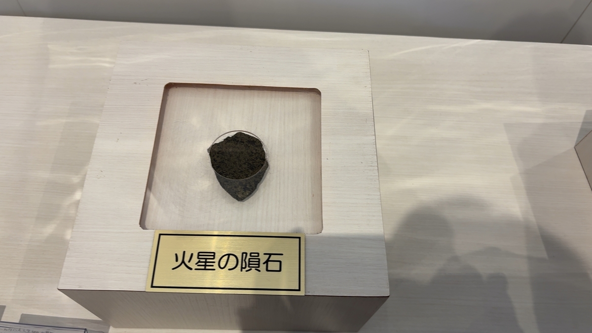 Martian meteorites