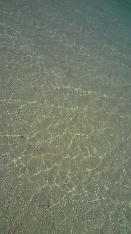 海
