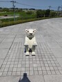 20250427101532